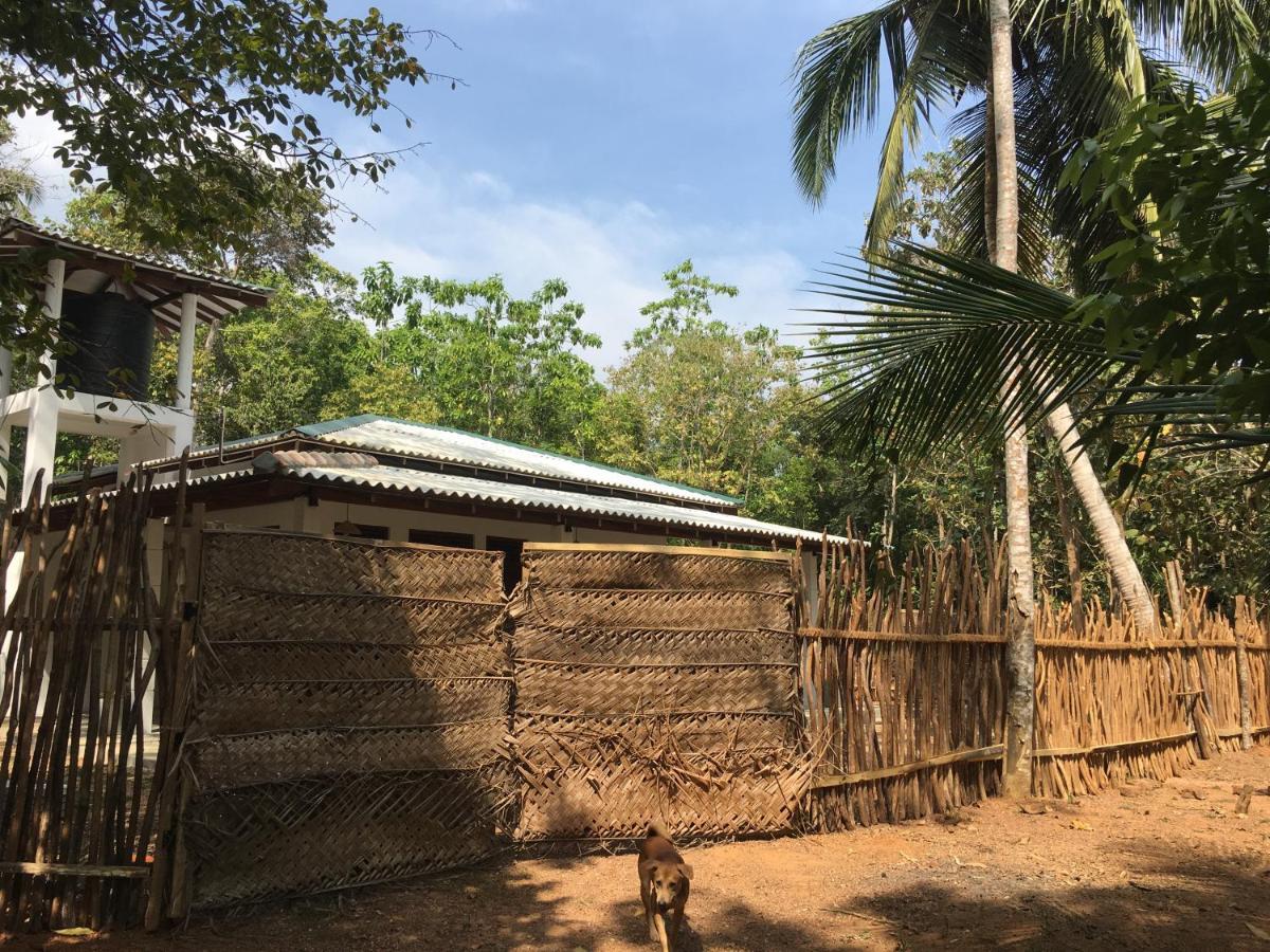 Cashew Villa Hiriketiya Dikwella Luaran gambar
