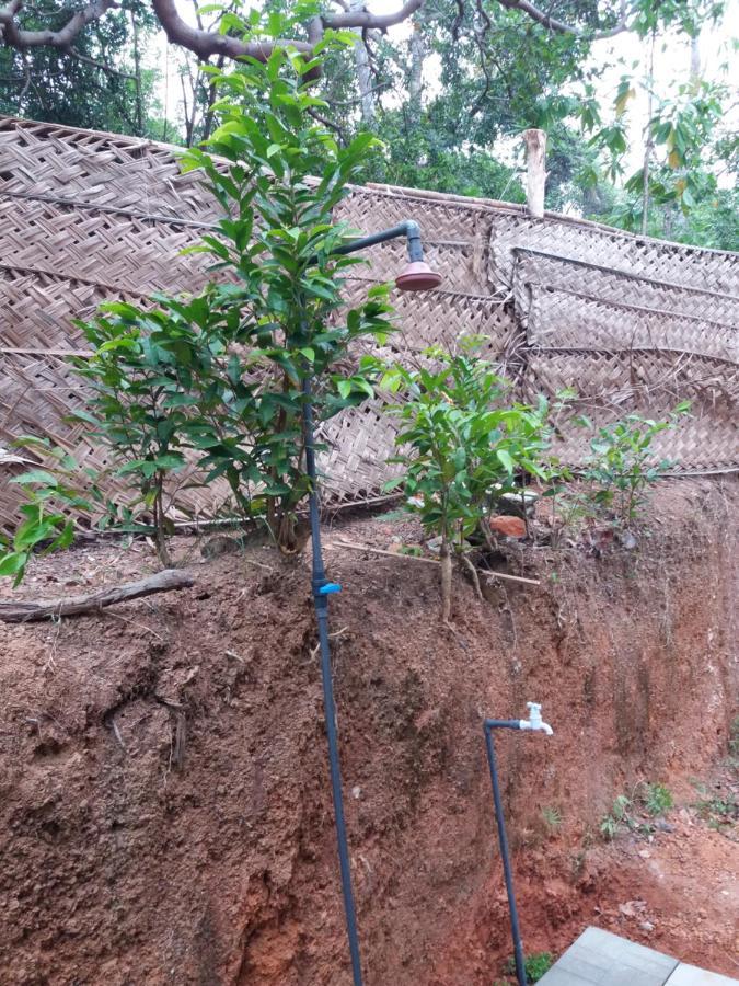 Cashew Villa Hiriketiya Dikwella Luaran gambar