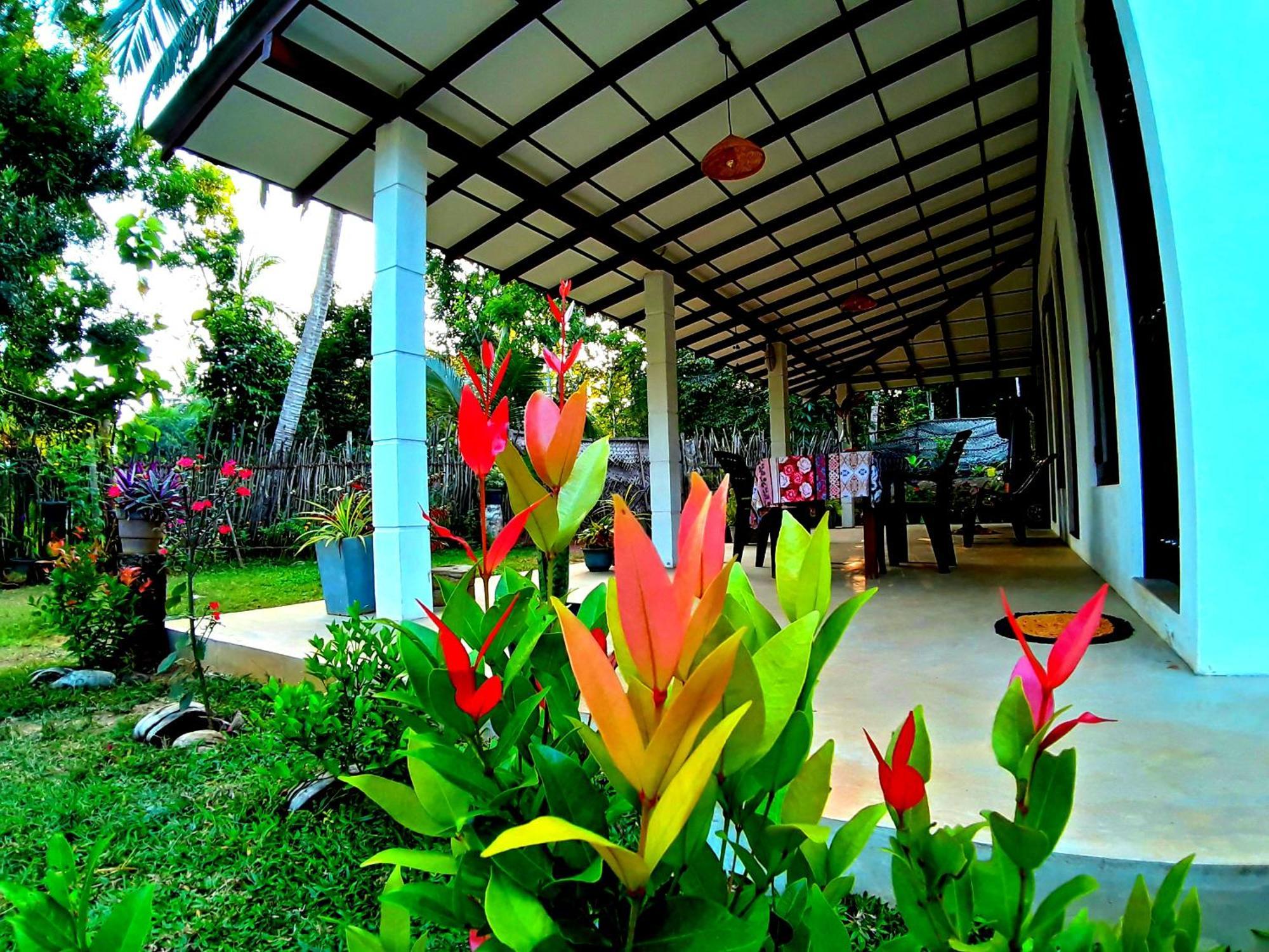 Cashew Villa Hiriketiya Dikwella Luaran gambar