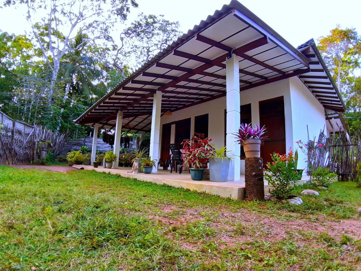 Cashew Villa Hiriketiya Dikwella Luaran gambar