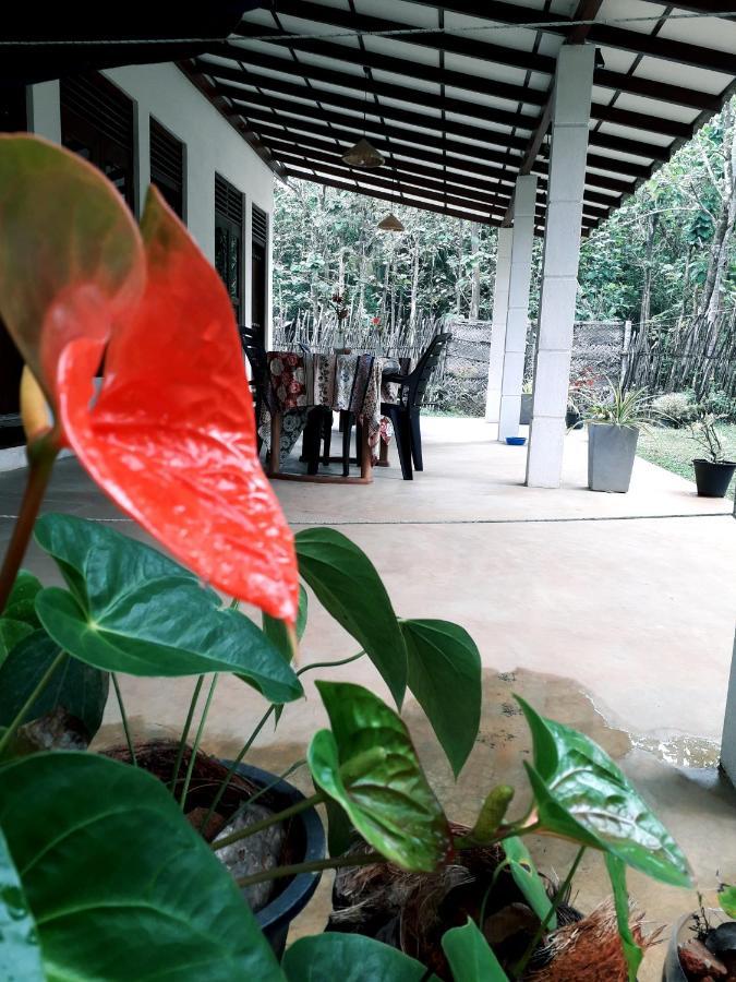 Cashew Villa Hiriketiya Dikwella Luaran gambar