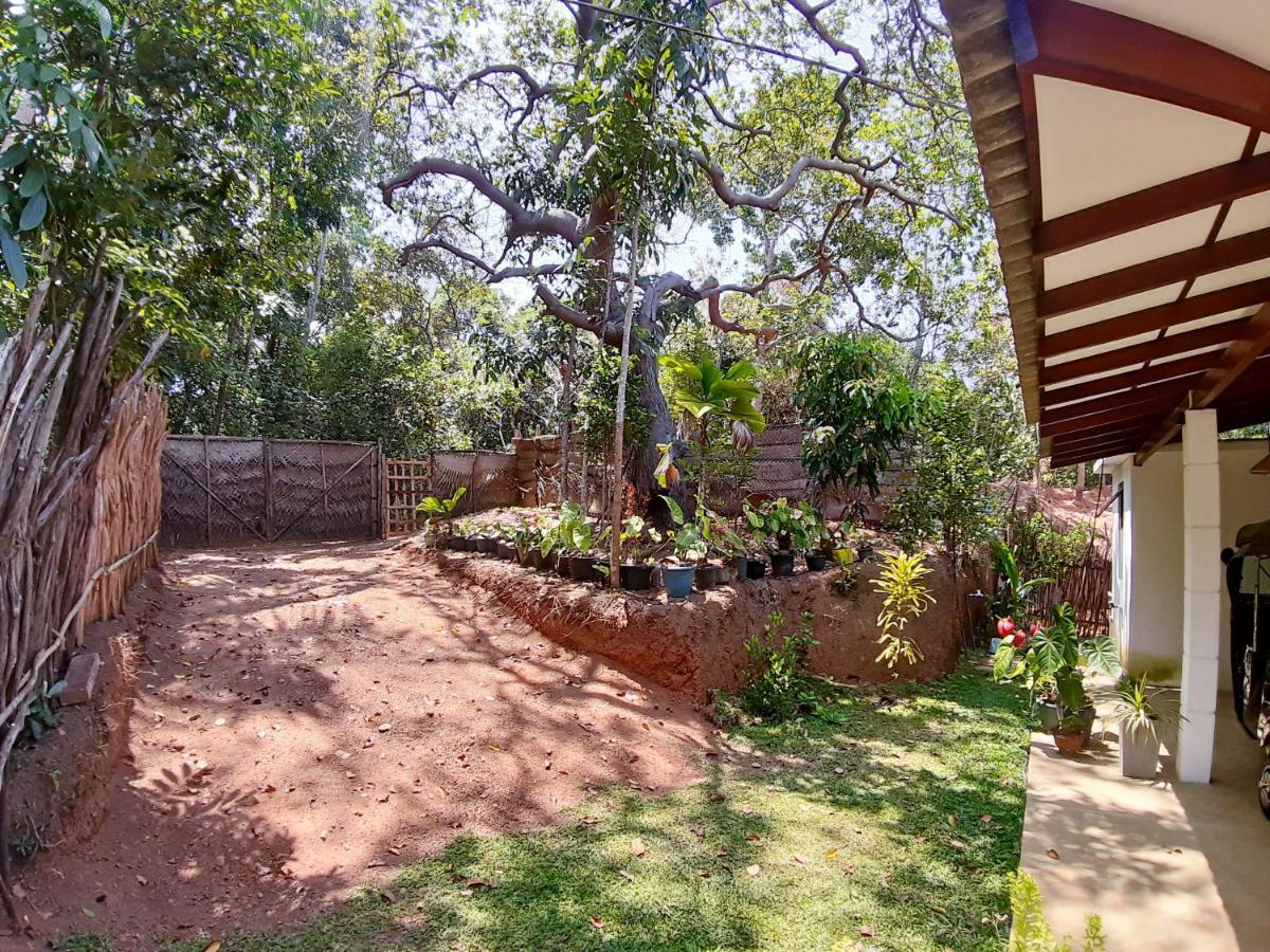 Cashew Villa Hiriketiya Dikwella Luaran gambar