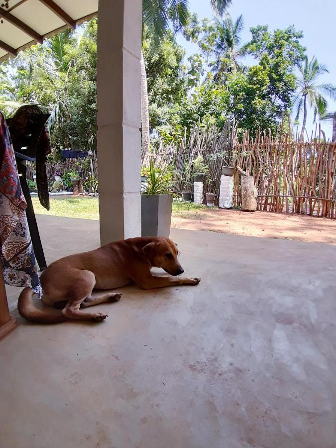 Cashew Villa Hiriketiya Dikwella Luaran gambar